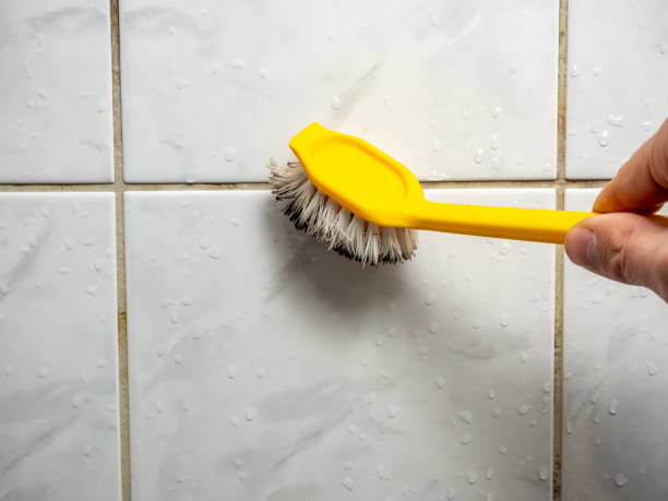 Best Emergency Mold Removal  in Cleves, OH
