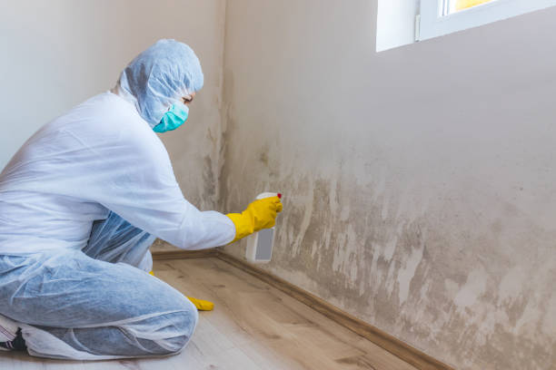 Best Residential Mold Removal  in Cleves, OH