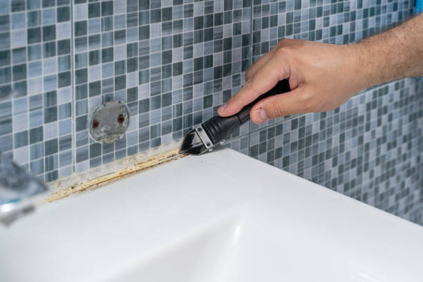 Best Affordable Mold Removal  in Cleves, OH