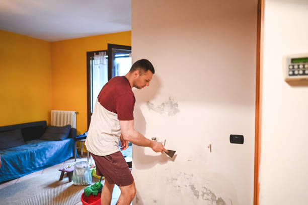 Best Mold Removal Company Near Me  in Cleves, OH